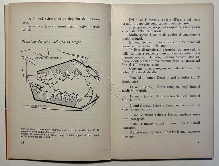 P. Vaugien - Manuale pratico di allevamento canino - ed. …