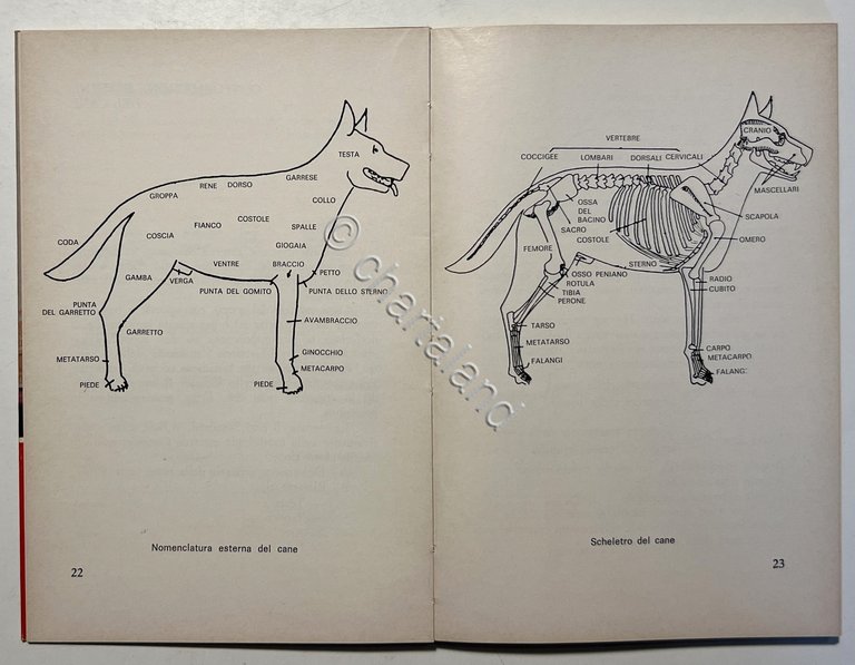 P. Vaugien - Manuale pratico di allevamento canino - ed. …