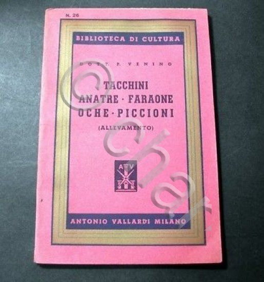 P. Venino - Tacchini anatre faraone oche piccioni - Allevamento …