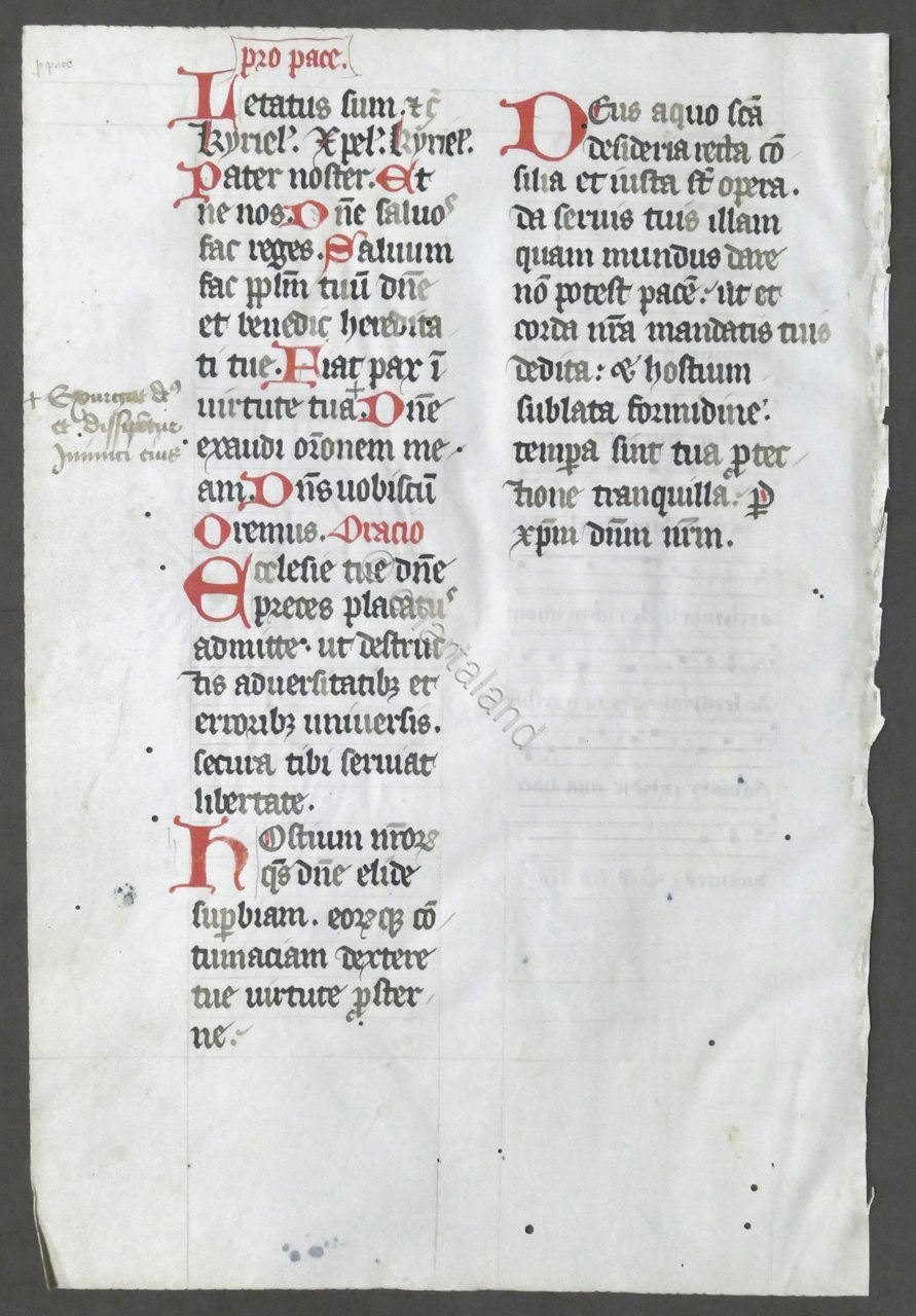 Pagina da Libro d'Ore medioevale - Manoscritta su pergamena - …