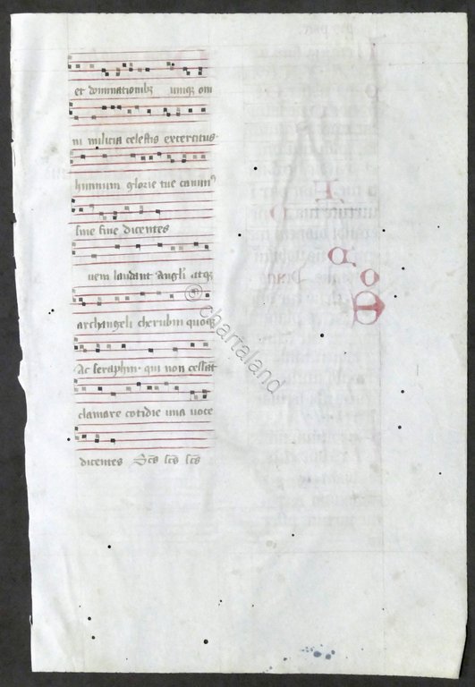 Pagina da Libro d'Ore medioevale - Manoscritta su pergamena - …