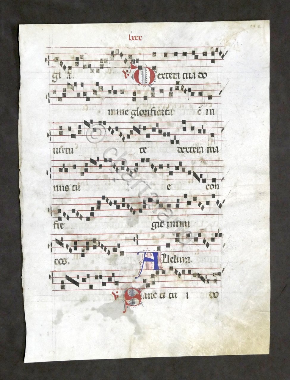 Pagina originale manoscritta da Antifonario medievale Canto liturgico XV secolo