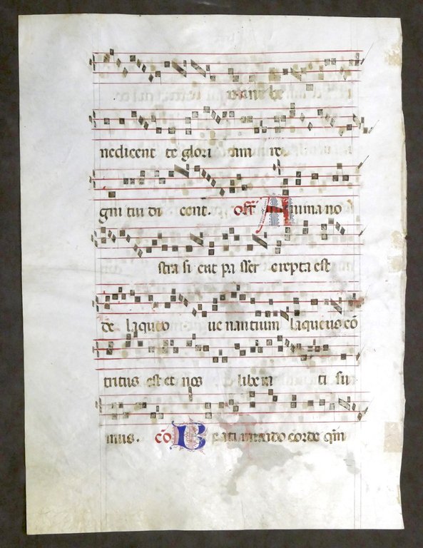 Pagina originale manoscritta da Antifonario medievale Canto liturgico XV secolo