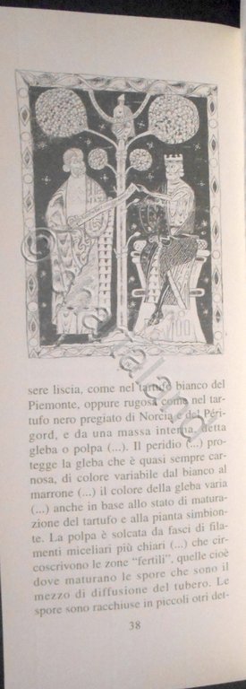Pepe e peperoncino, il riso, il tartufo - ed. 1995 …