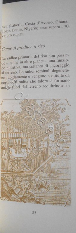 Pepe e peperoncino, il riso, il tartufo - ed. 1995 …