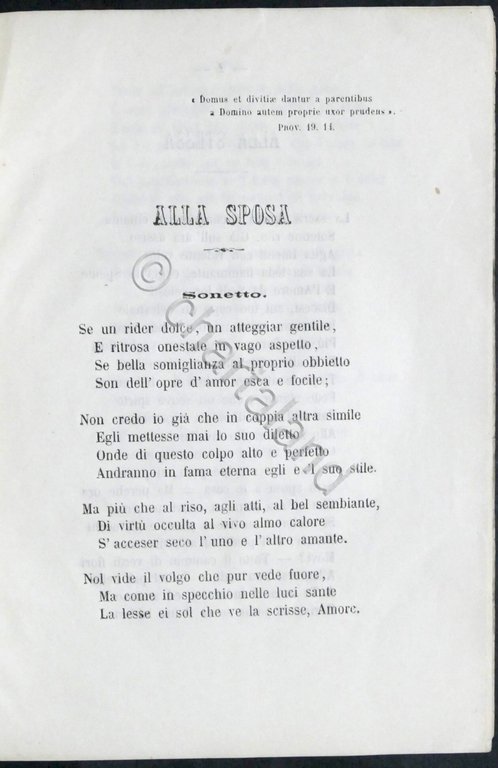 Per le nozze di Camillo Marozzi con Marietta Pozzi-Marozzi - …