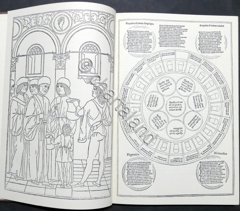 Petrus Montagnana - Fasciculo de Medicina - ed. 1494 - …