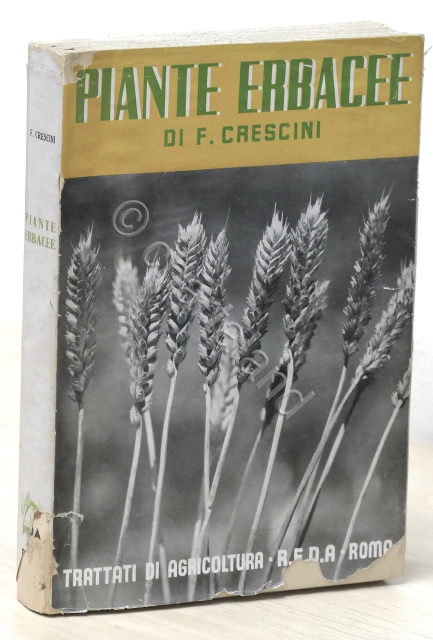 Piante Erbacee di F. Crescini - Trattati di Agricoltura - …