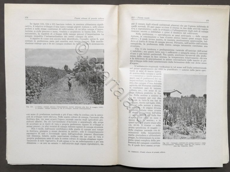 Piante Erbacee di F. Crescini - Trattati di Agricoltura - …
