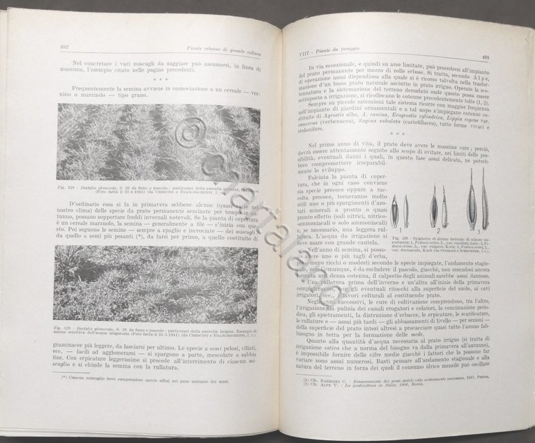 Piante Erbacee di F. Crescini - Trattati di Agricoltura - …