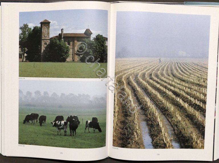 Pino Capellini - Il Serio: storia di acque e di …