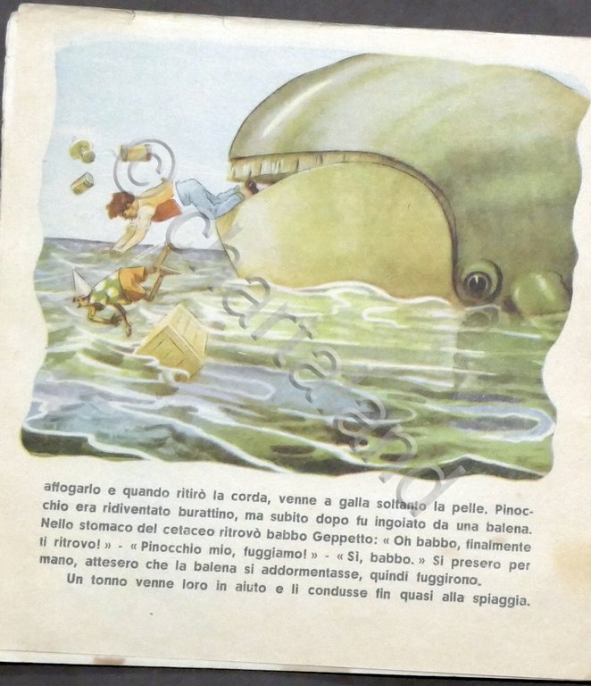 Pinocchio - Editrice Boschi - Anni '50