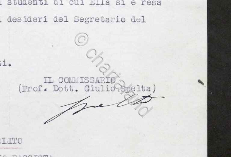 PNF - Federazione Varese - Lettera autografo commissario Giulio Spelta …