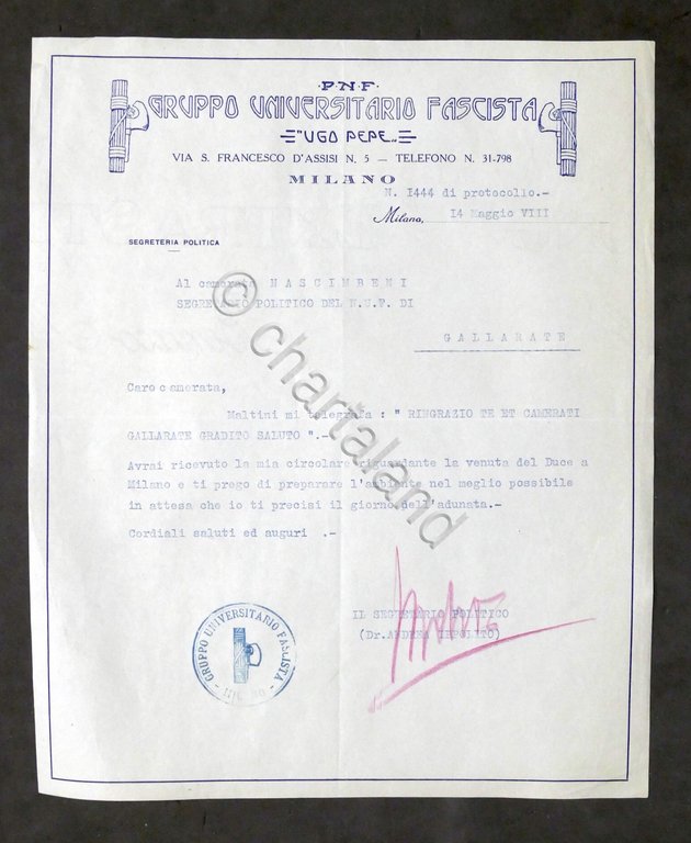 PNF Gruppo Universitario Ugo Pepe Lettera autografo segretario A. Ippolito …