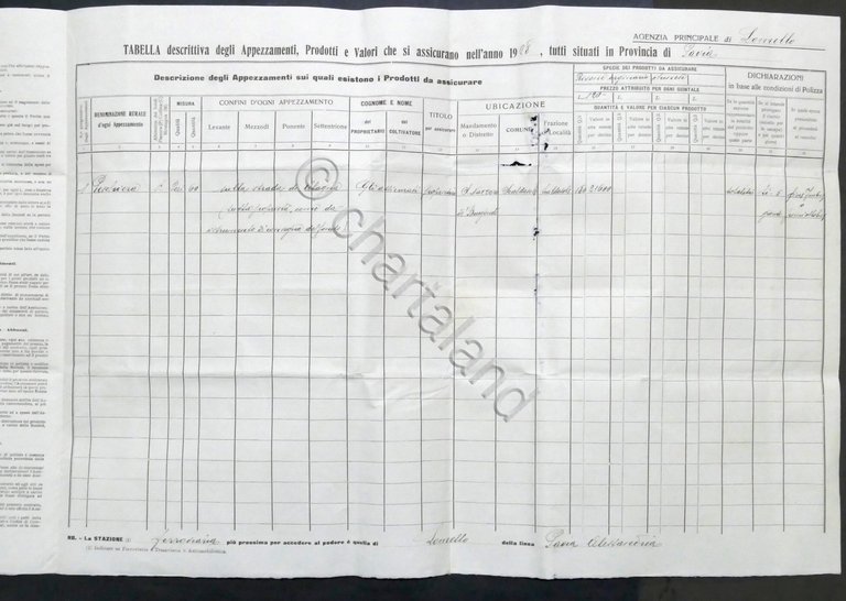 Polizza Assicurazione contro danni Grandine - Società La Fenice - …