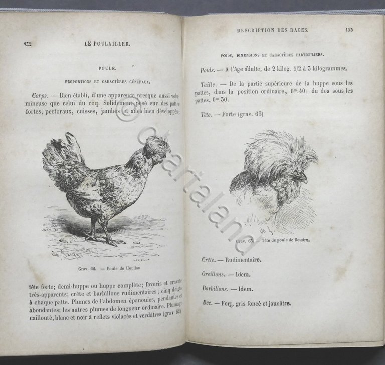 Pollicoltura - Ch. Jacque - Le Poulailler - Poules indigenes …