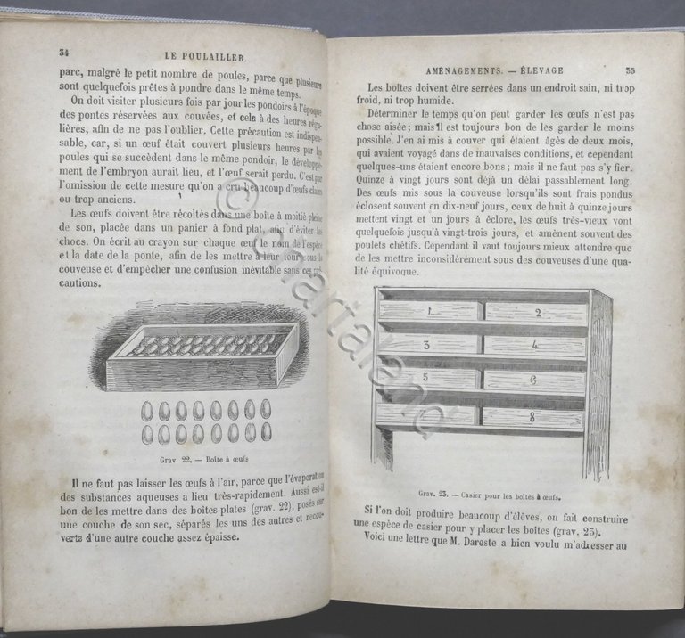 Pollicoltura - Ch. Jacque - Le Poulailler - Poules indigenes …