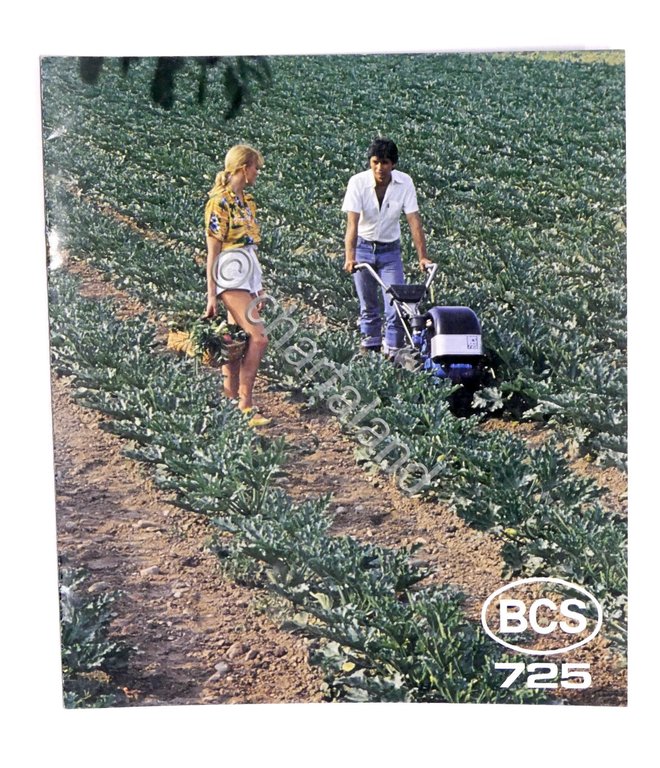 Pubblicità macchine agricole - Brochure BCS 725 - Aratro - …