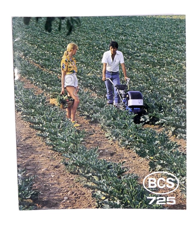 Pubblicità macchine agricole - Brochure BCS 725 - Aratro - …