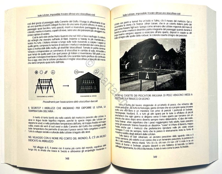 Quaderno di Viaggio d'Autore - Il Grande Nord: Norvegia-Svezia-Finlandia - …