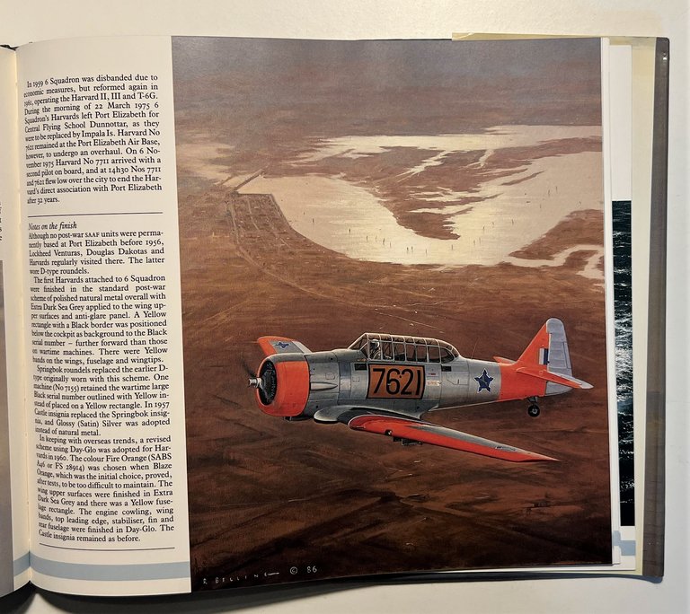 R. Belling - A portrait Military Aviation in South Africa …