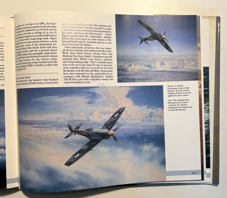 R. Belling - A portrait Military Aviation in South Africa …