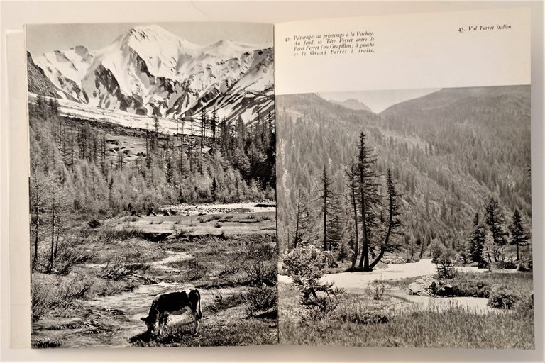 R. Frison-Roche et P. Tairraz - Mont Blanc aux sept … | Immagine Gallery 4