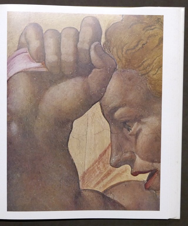 R. Salvini - La Cappella Sistina in Vaticano - Opera …