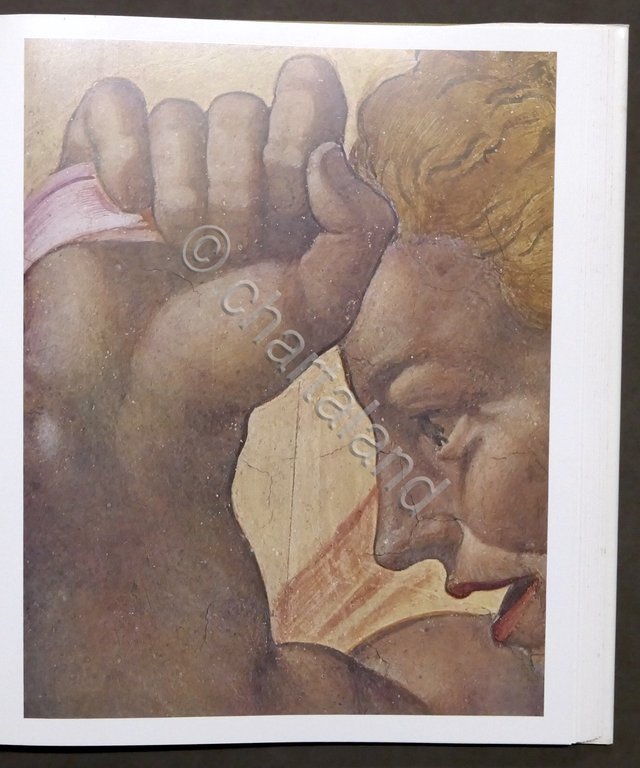 R. Salvini - La Cappella Sistina in Vaticano - Opera …