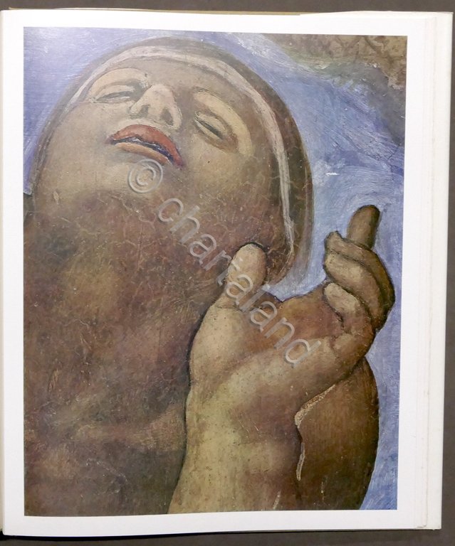 R. Salvini - La Cappella Sistina in Vaticano - Opera …