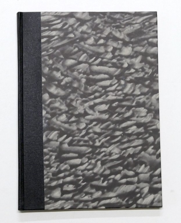 Ragionamento per Società costruzione teatro Città di Pinerolo - 1^ …