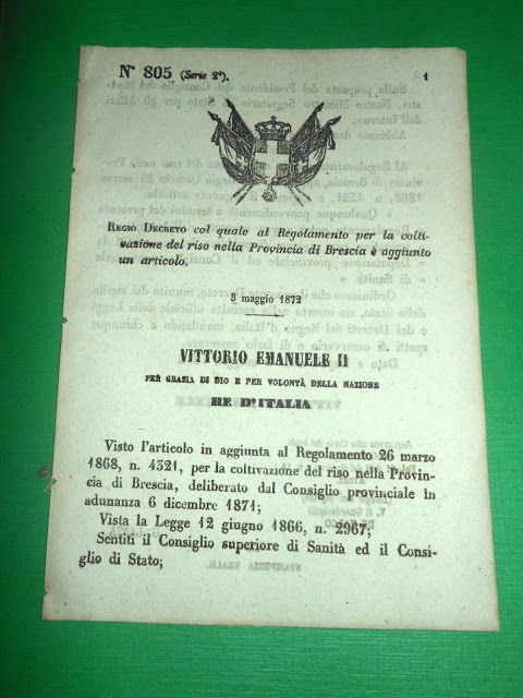Regno d' Italia Regio Decreto Regolamento Coltivazione Riso Brescia 1872 | Immagine principale