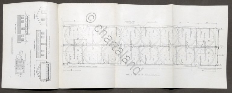 Relazione del prof. Giacomo Carrara sopra nuovo impianto Elettrolitico - …