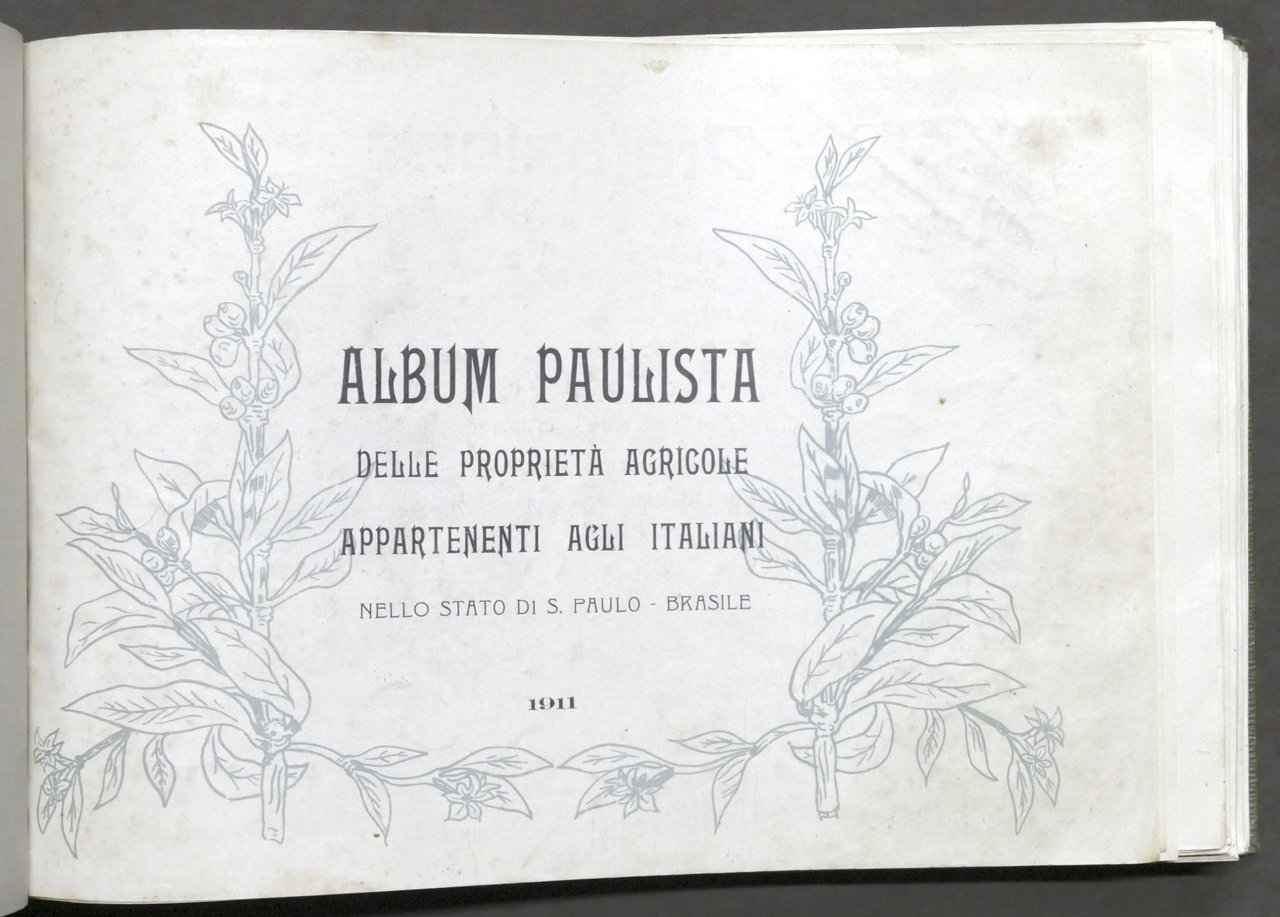 Ribeiro - Album paulista proprietà agricole italiane Stato S. Paulo …