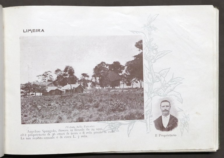 Ribeiro - Album paulista proprietà agricole italiane Stato S. Paulo …