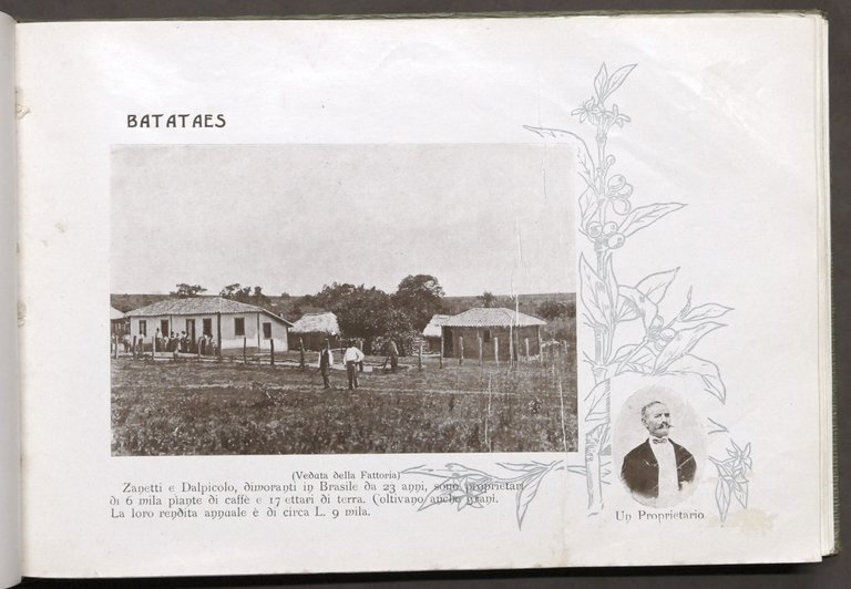 Ribeiro - Album paulista proprietà agricole italiane Stato S. Paulo …