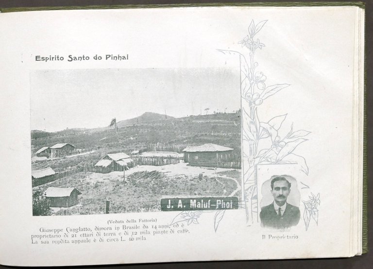 Ribeiro - Album paulista proprietà agricole italiane Stato S. Paulo …