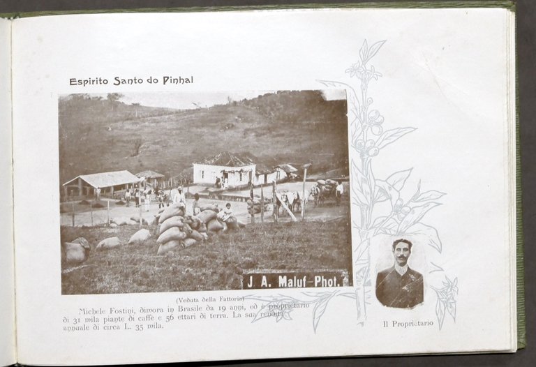 Ribeiro - Album paulista proprietà agricole italiane Stato S. Paulo …