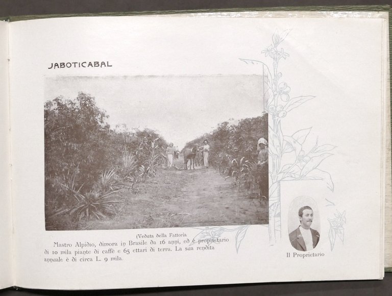 Ribeiro - Album paulista proprietà agricole italiane Stato S. Paulo …