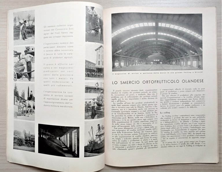 Rivista - Cooperazione Rurale N. 9 - 1933