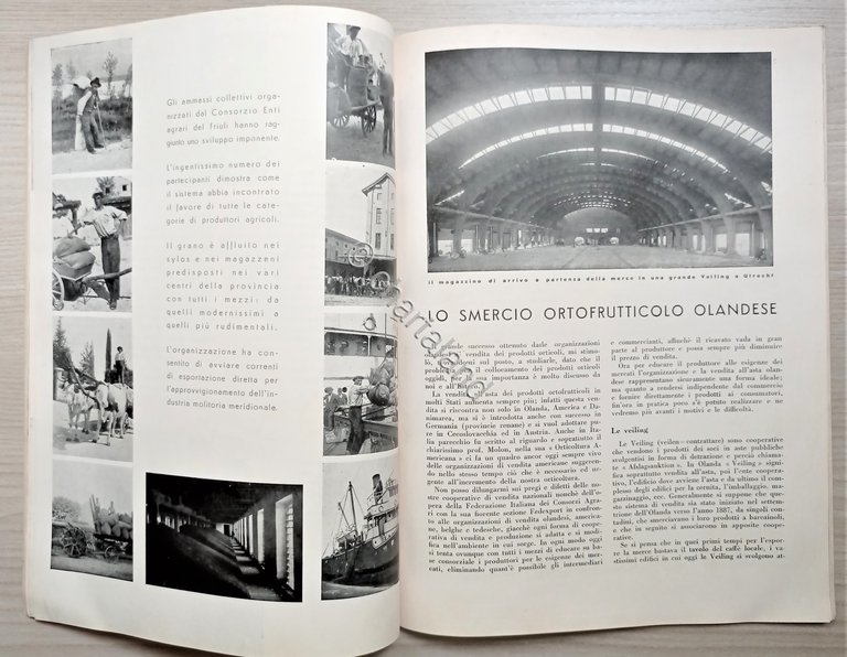 Rivista - Cooperazione Rurale N. 9 - 1933