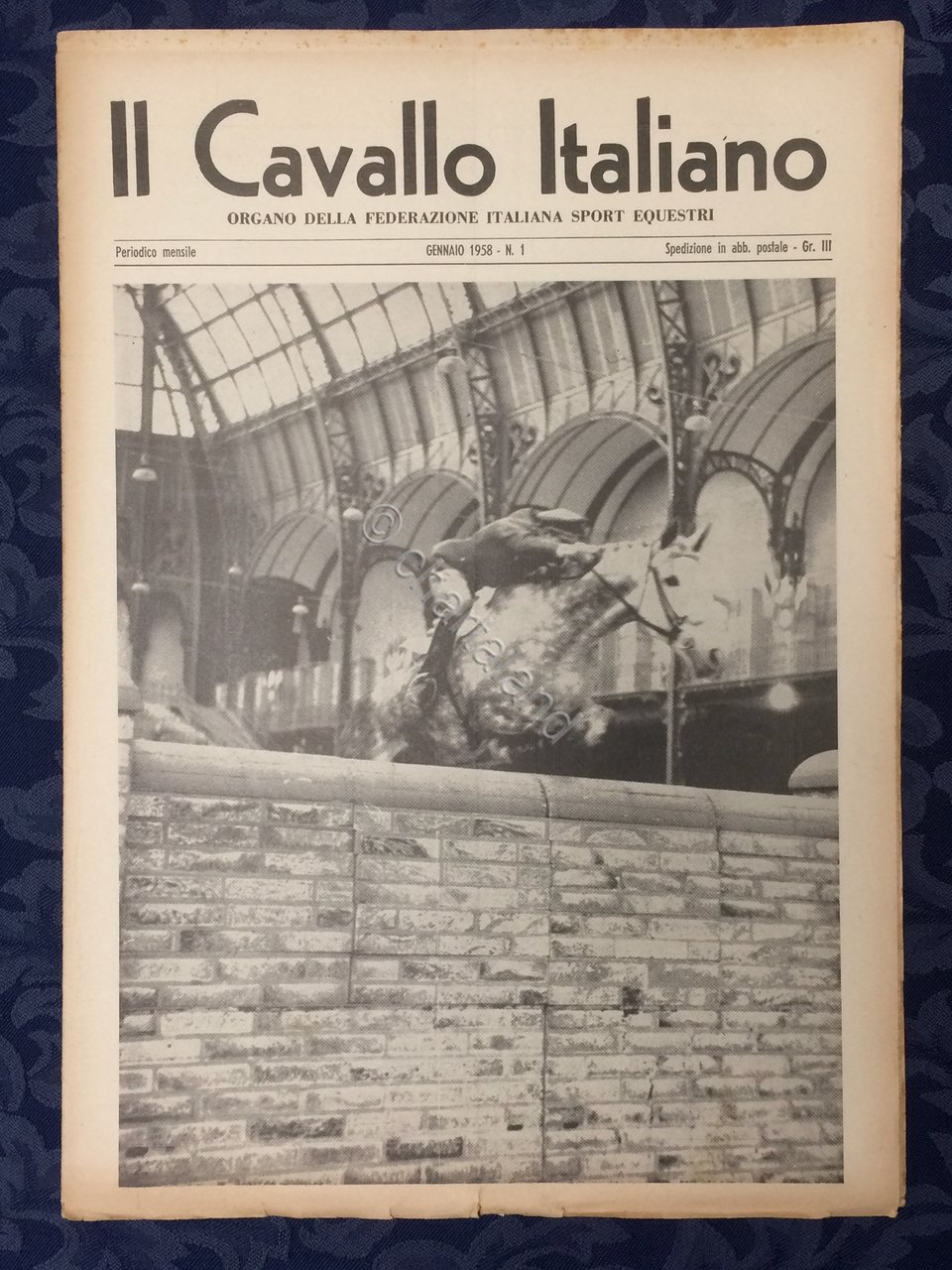 Rivista - Il Cavallo Italiano - N. 1 - Gennaio …