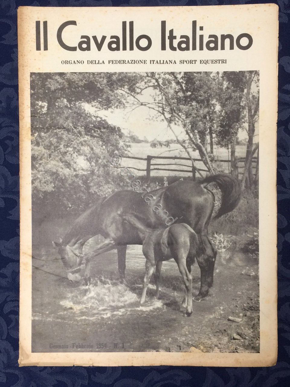 Rivista - Il Cavallo Italiano - N. 1 - Gennaio …