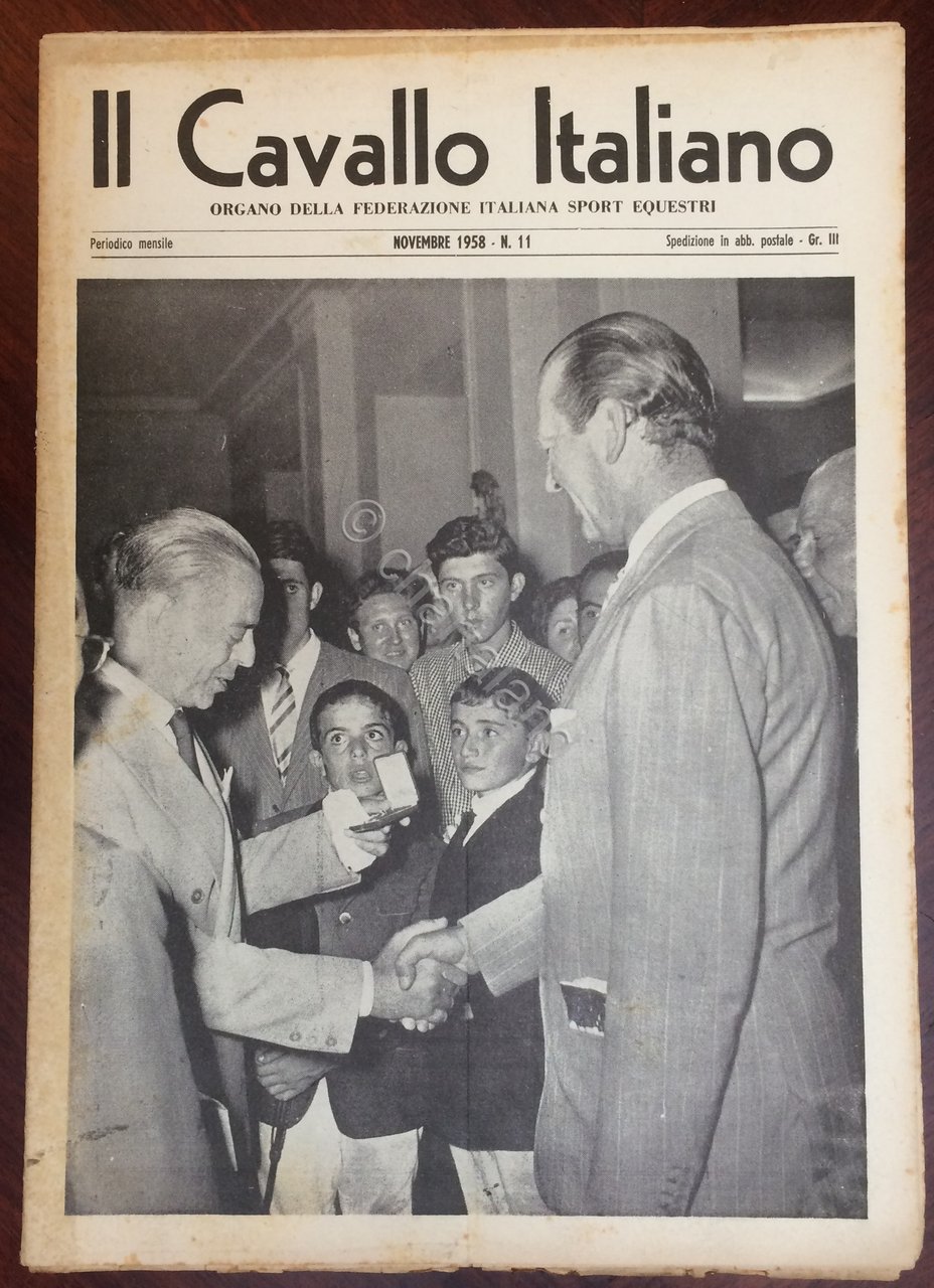 Rivista - Il Cavallo Italiano - N. 11 - Novembre …