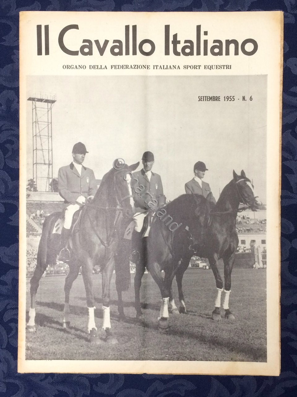Rivista - Il Cavallo Italiano - N. 6 - Settembre …
