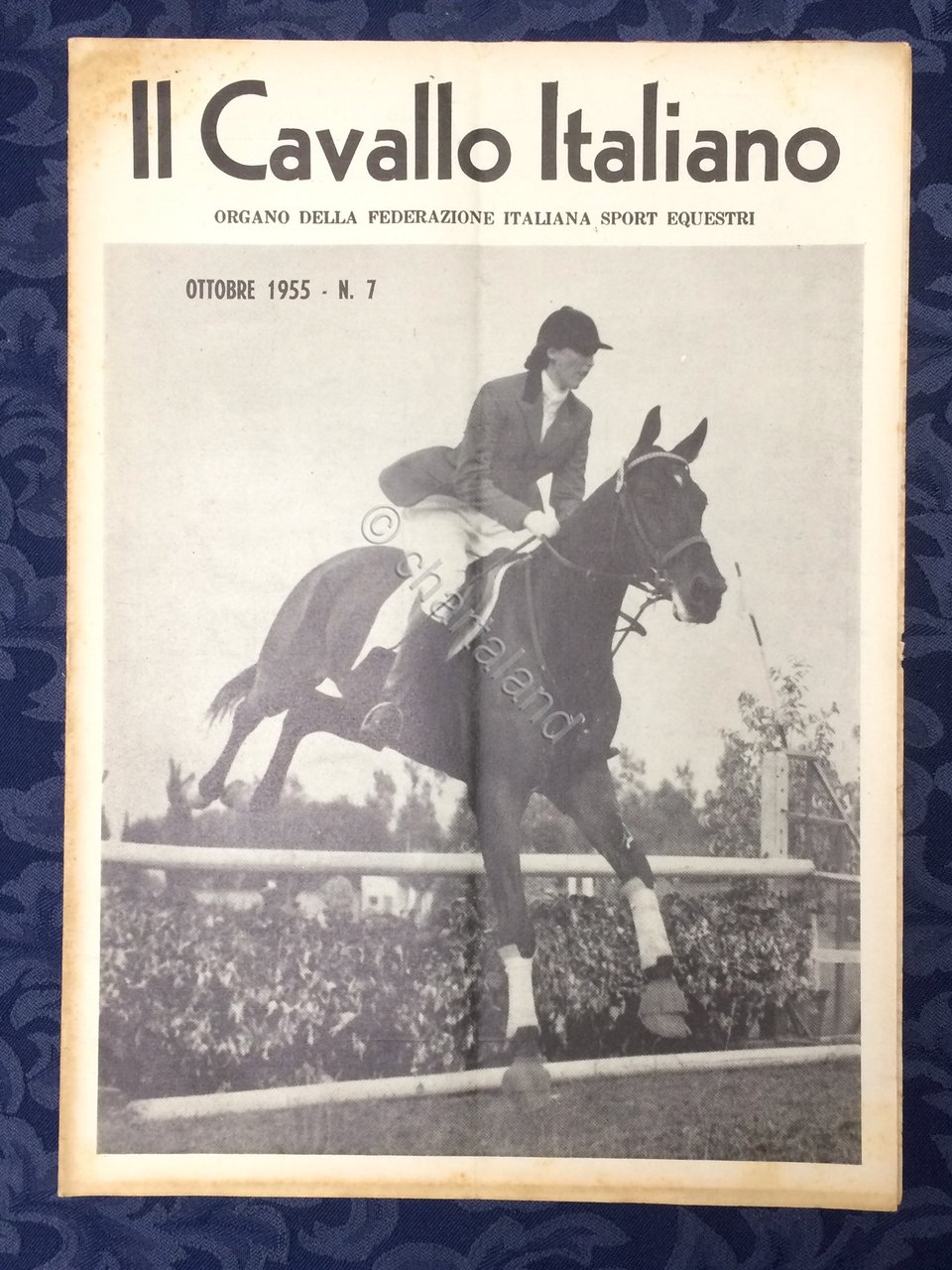 Rivista - Il Cavallo Italiano - N. 7 - Ottobre …