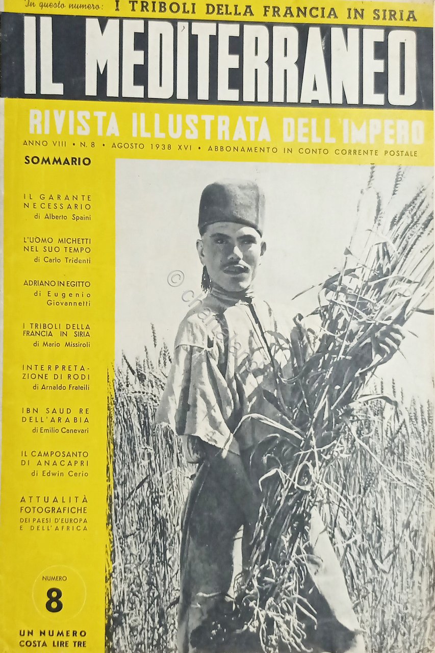 Rivista - Il Mediterraneo N. 8 - I Triboli della …