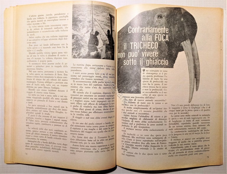 Rivista - Nord Est: Avventure Vere di Mare N. 1 …