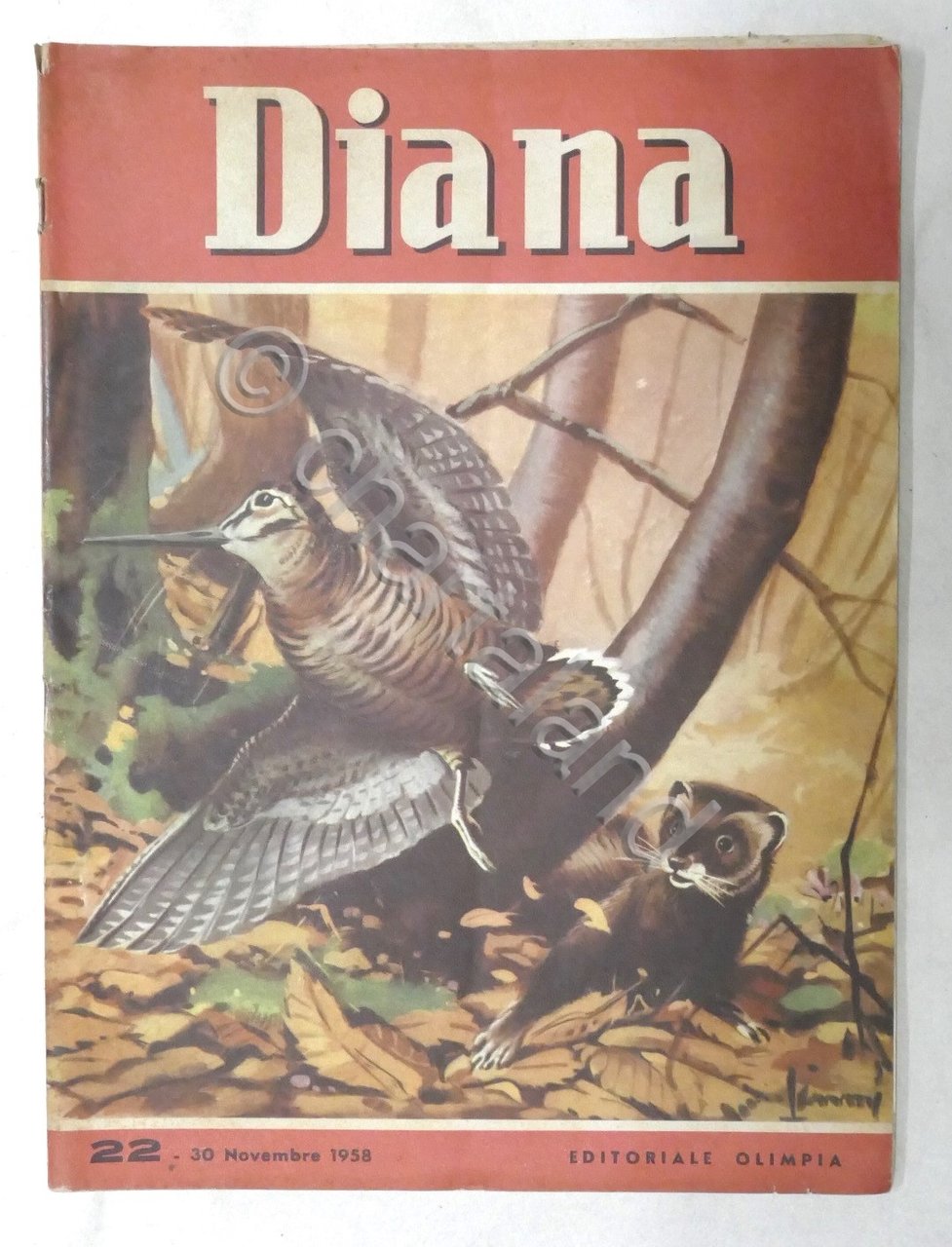 Rivista Caccia - Diana - N. 22 - Novembre 1958