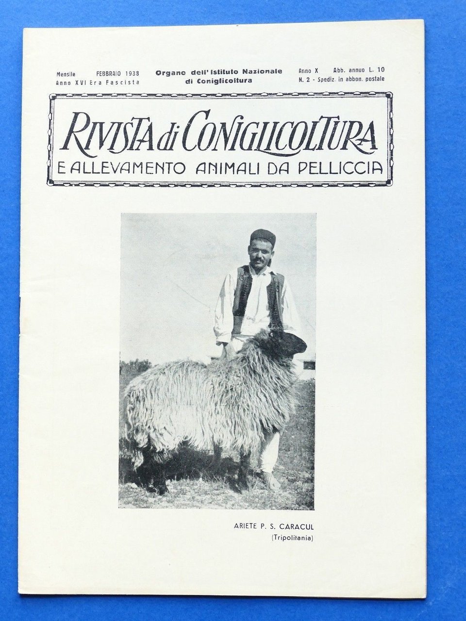 Rivista di Coniglicoltura e allevamento animali da pelliccia - N° …
